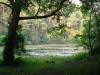 Lake Lenape