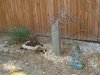 Zen Garden