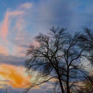 Sky, clouds, trees, and tears