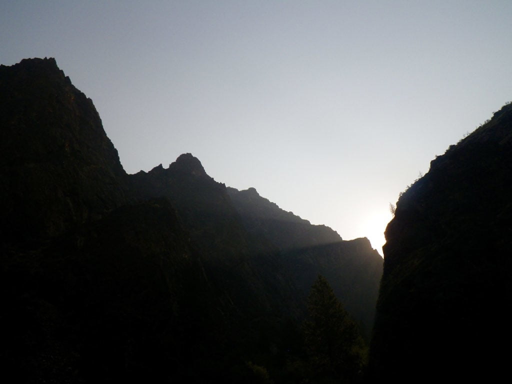 Revelation Introspection