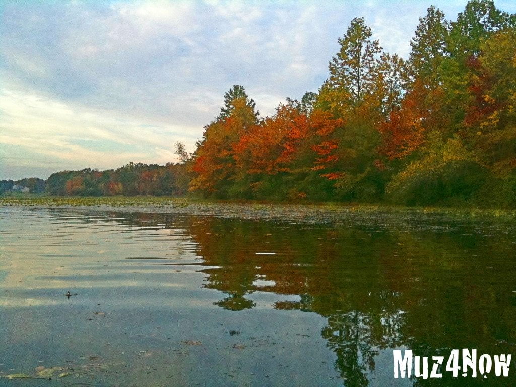 Surprising Sources of Transformation