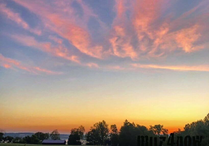 I Heard You Like Pink