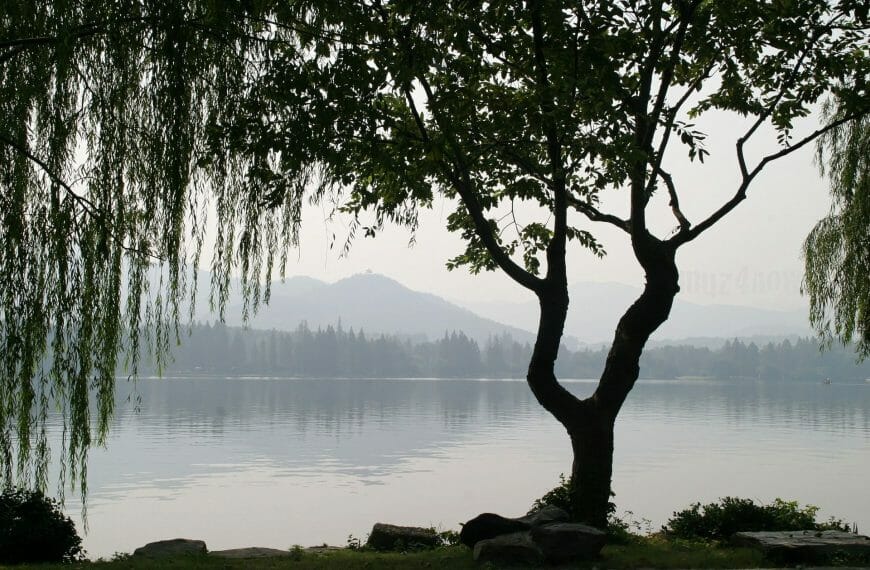 Willows Bend