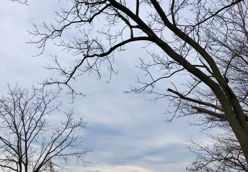 Bare, winter trees in front of a colorfully cloudy sky.