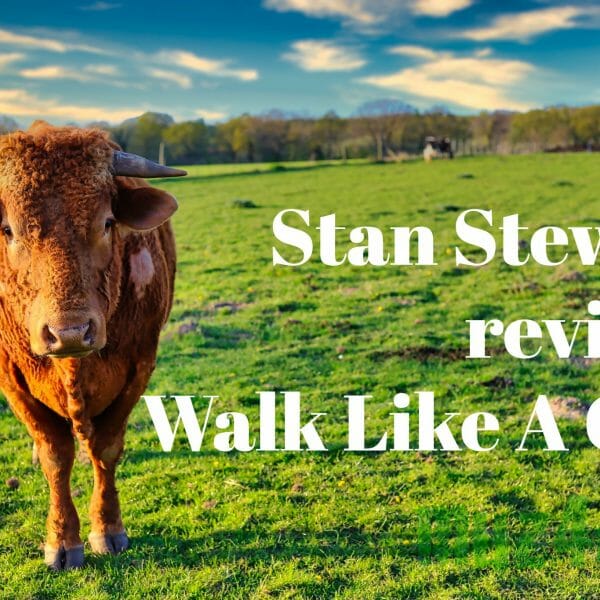 A cow in a field with the title, "Stan Stewart reviews Walk Like A Cow"
