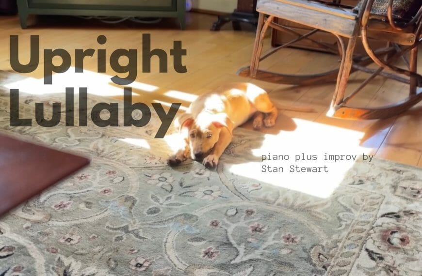 Upright (Puppy Love) Lullaby – #piano #improv