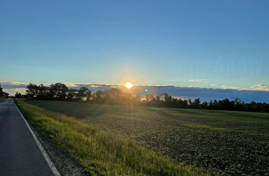 Sunset Early Summer
