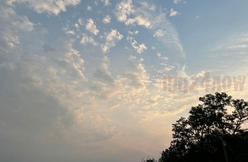 Golden clouds and blue sky behind the silhouette of a tree