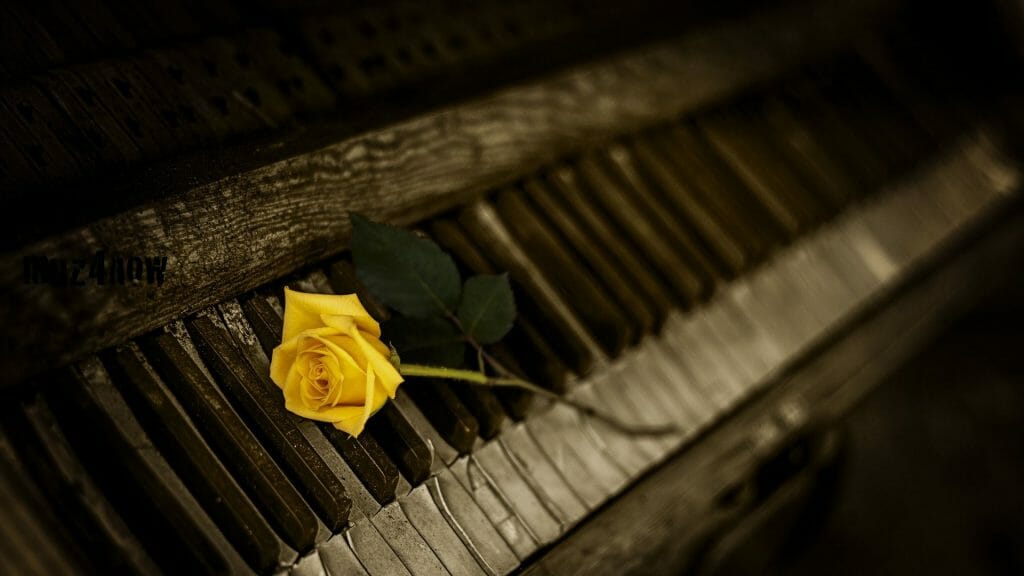 A yellow rose plus stem lying on a piano keyboard that has many keys coming apart