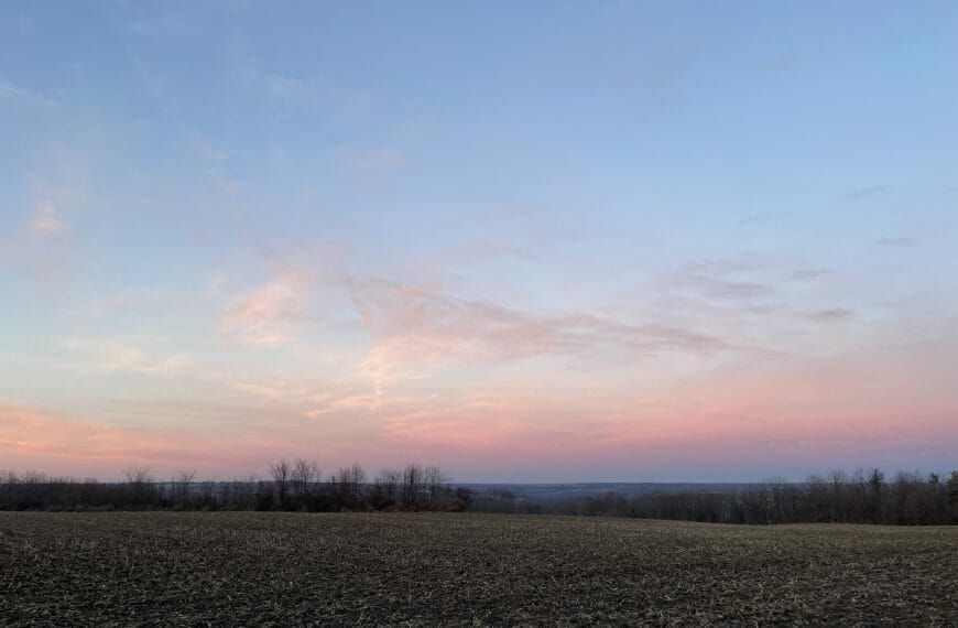 A preview of soft red clouds