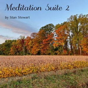 The EP cover for Meditation Suite 2 by Stan Stewart