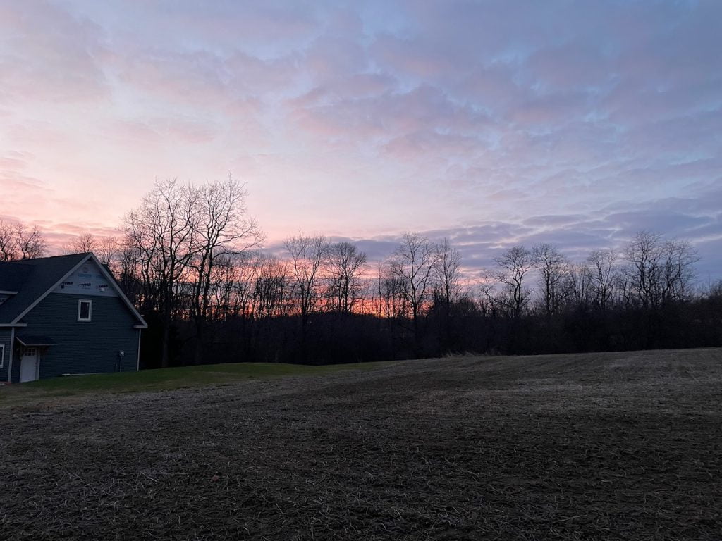 A red sunrise begins behind a barren, winter tree line.