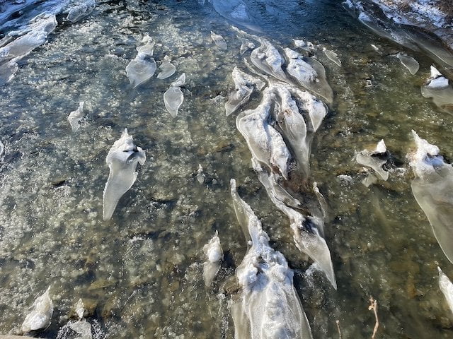 Fluffy bits of ice flow through a stream in a gorge.