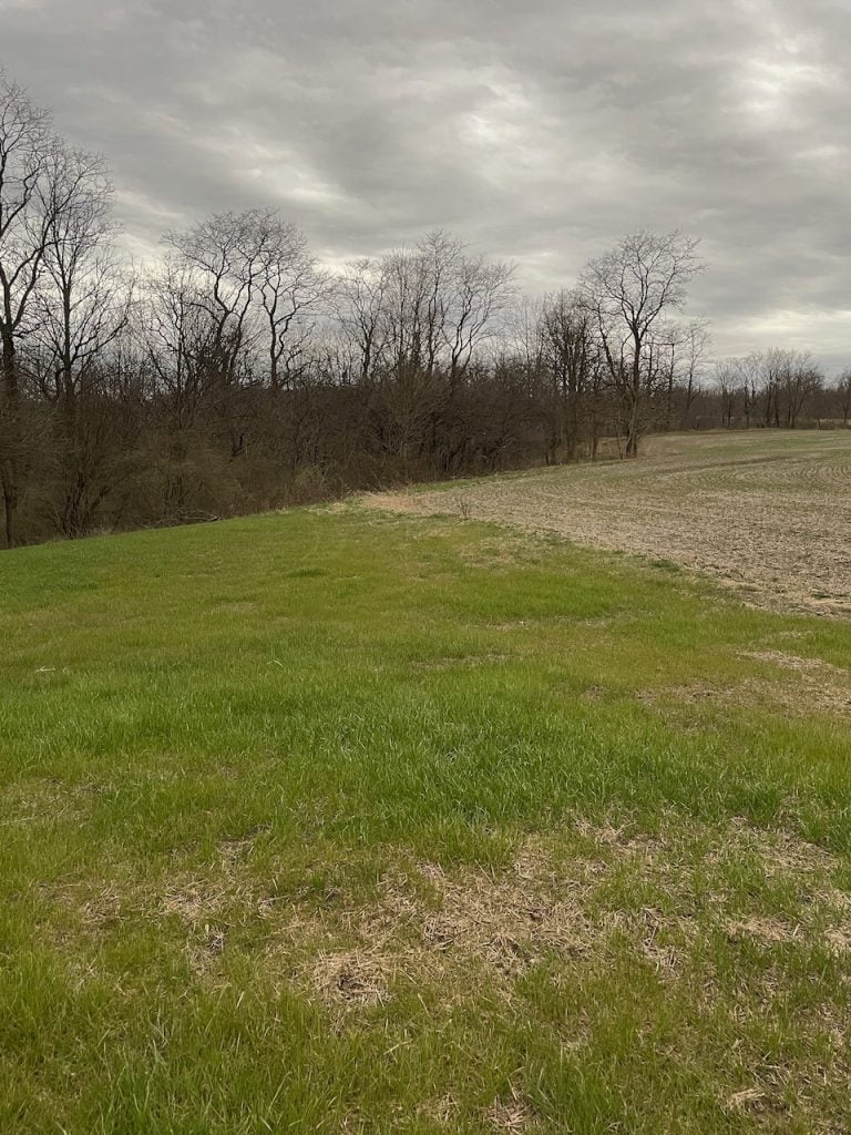 The light on a grassy area turns back to normal after the eclipse