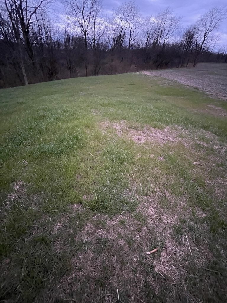 The odd light of the eclipse on a grassy mound