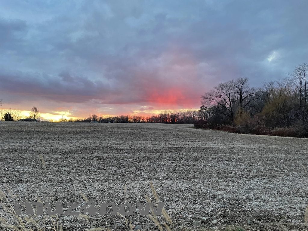 The sunset adds bright colors to a wintry landscape, leafless trees, and gray clouds.