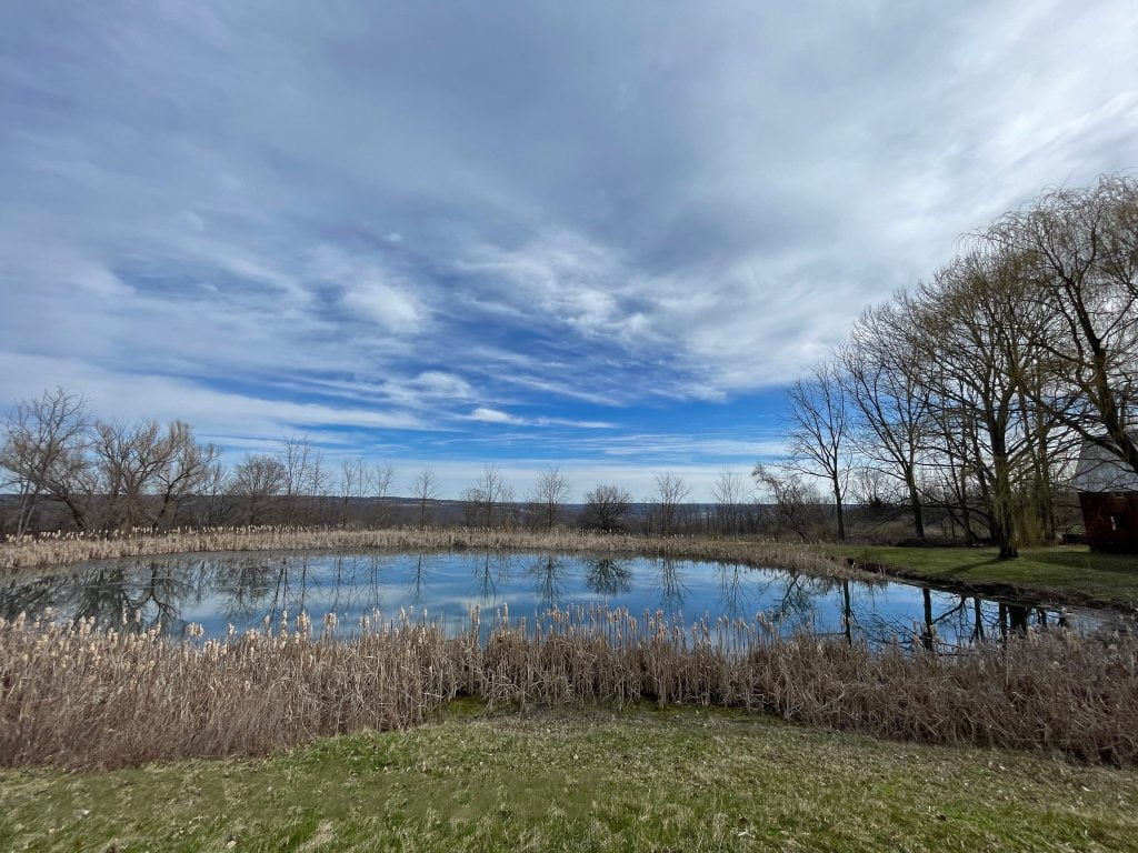 Heavy clouds are reflected in an oval-shaped pond.