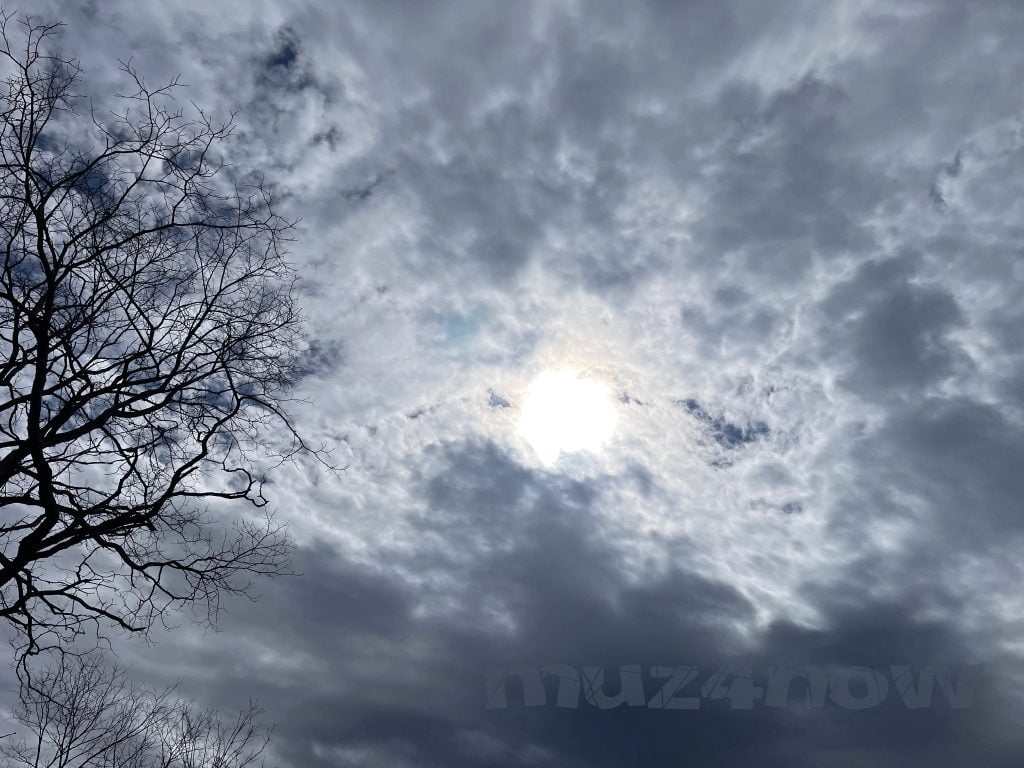 A leafless tree on the left and the sun trying to shine break up the solid gray clouds.