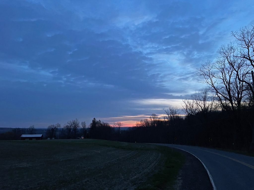 Beyond a leafless tree line, the sunrise adds a bit of color to an otherwise cloudy sky.