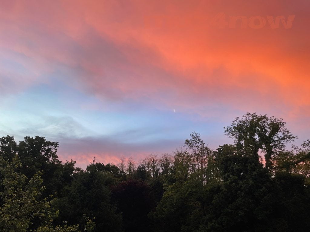 Bright orange clouds above a tree line for the Healing Love blog post. Photo by Stan Stewart.