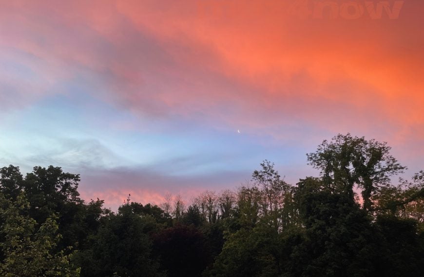 Bright orange clouds above a tree line for the Healing Love blog post. Photo by Stan Stewart.