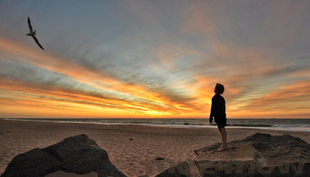 You may almost hear the voices of a seagull and a boy looking out over an ocean sunset from the beach