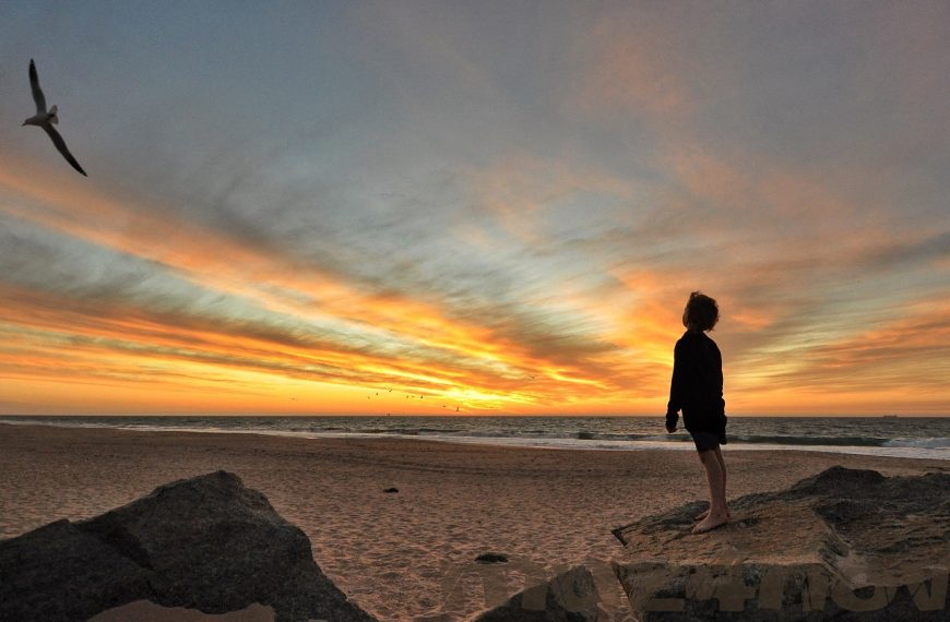 You may almost hear the voices of a seagull and a boy looking out over an ocean sunset from the beach
