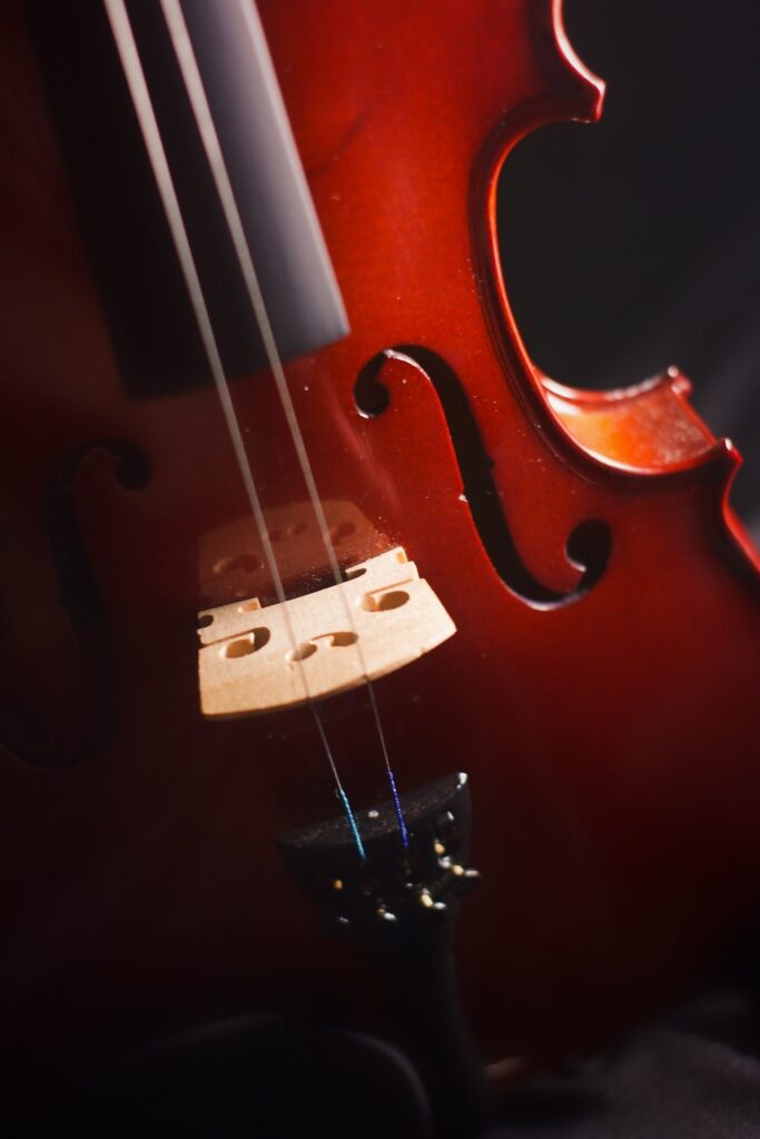 A orchestral string instrument but with only two strings. Compose something for this instrument if you dare.