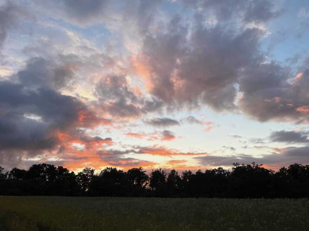 The sun paints the clouds bright pink and orange. Below the sky is a tree line silhouette. Plan your day accordingly.