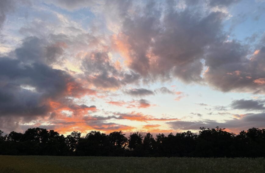 The sun paints the clouds bright pink and orange. Below the sky is a tree line silhouette. Plan your day accordingly.