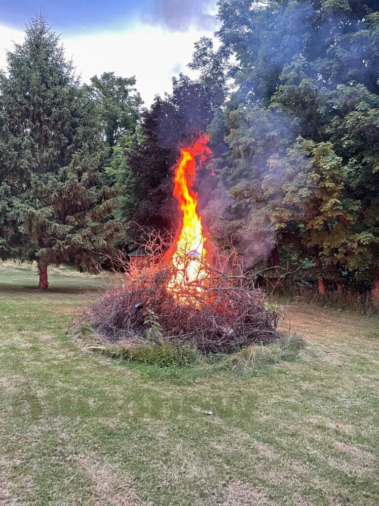 Someone has started a fire. A brush pile has a high flame in the middle of it. World on fire.