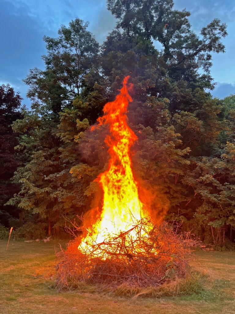 A pile of brush burns dramatically with many green trees behind it.