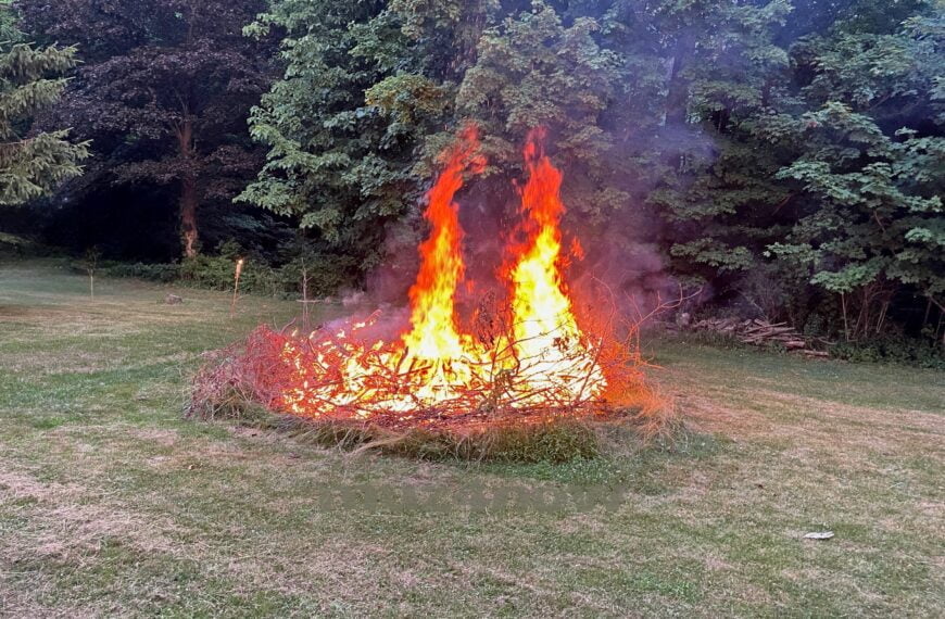 World on fire: a brush pile burns with two distinct flames rising from it.