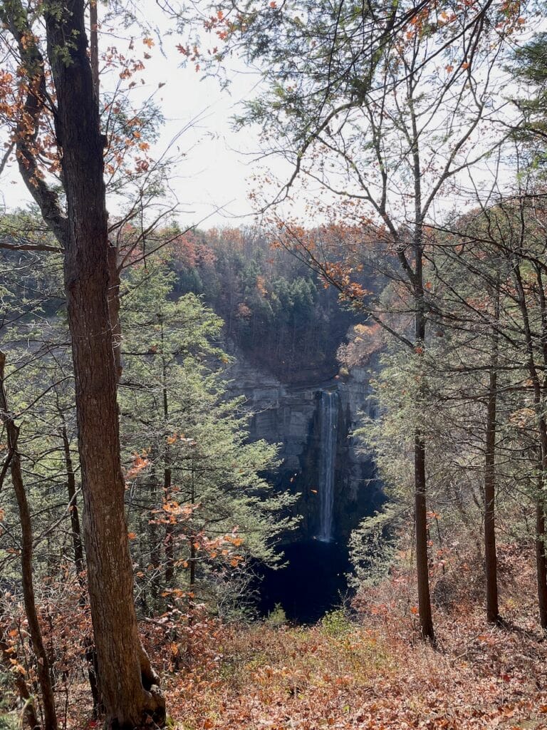 A tall waterfall seen between the trees in an autumn forest. The water is not plentiful, but it drops in front of a grey rocky gorge wall. The waterfall is named Taughannock Falls.
