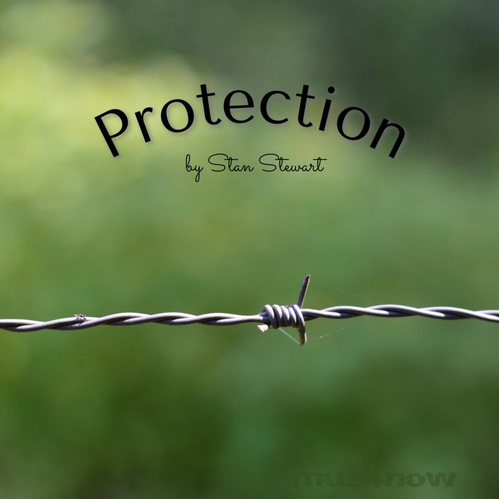 The cover for the music album "Protection" is a photo of a barbed-wire strand on a green background. The album is by Stan Stewart. The photo is by Miguel Á. Padriñán.