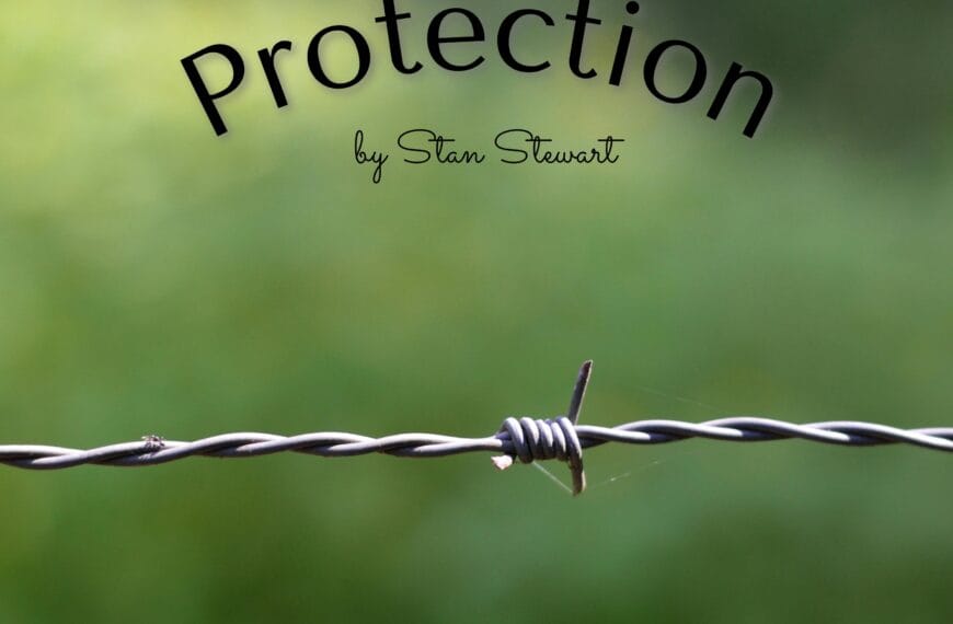 The cover for the music album "Protection" is a photo of a barbed-wire strand on a green background. The album is by Stan Stewart. The photo is by Miguel Á. Padriñán.