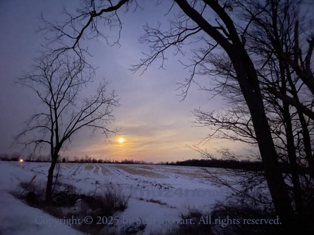 The sun rises through heavy clouds and between two bare trees. There is snow on the ground.