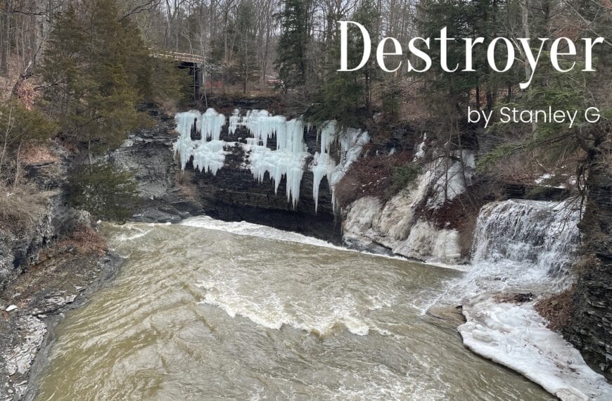 This photo gives off a feeling of emptiness even though it is full of movement. Rushing water in the foreground with huge icicles on the rocks in the background. Across the winter forest in the upper right corner is printed the words: Dream Destroyer by Stanley G.