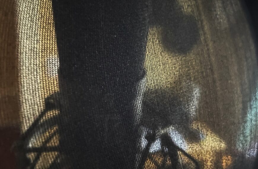 A recording microphone behind a pop filter screen is no protection from catching a cold.