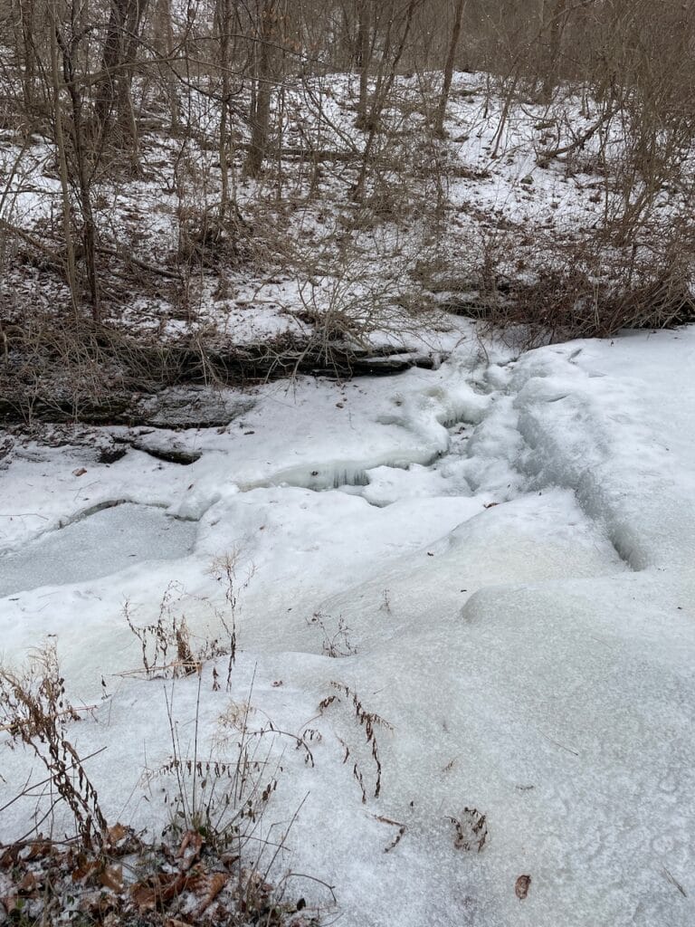 A waterfall in a winter forest is completely frozen. The image gives off a feeling of cold and barrenness.