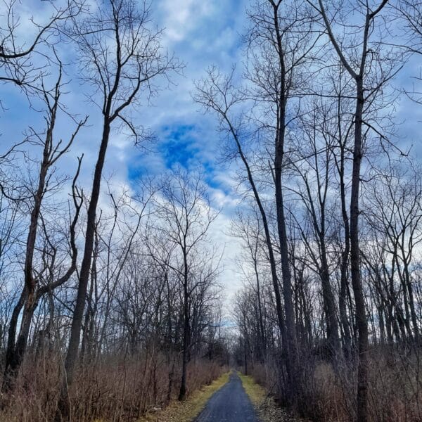 Staying On Track – Detours Galore