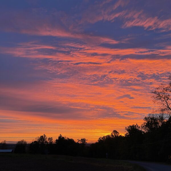 Is it too “early” to tell? Another album preview.