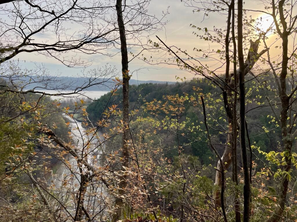 In the foreground are trees with green and brown leaves. Beyond these is a river connecting to a lake and the sun behind clouds.