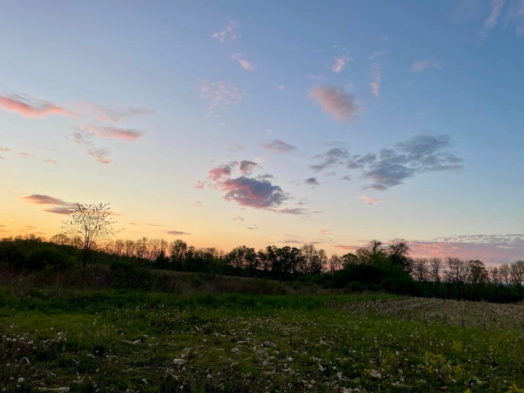Fluffy pink and grey clouds hover above a silhouetted tree line.