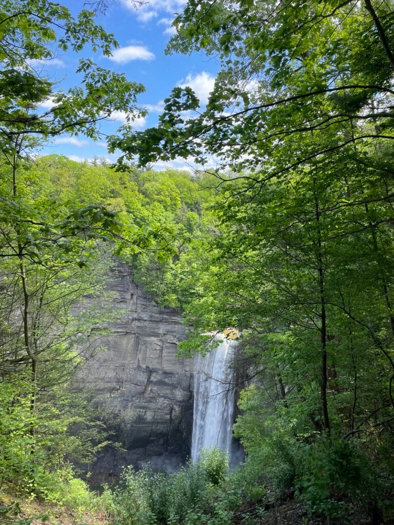 A tall waterfall surrounded by lush green trees.