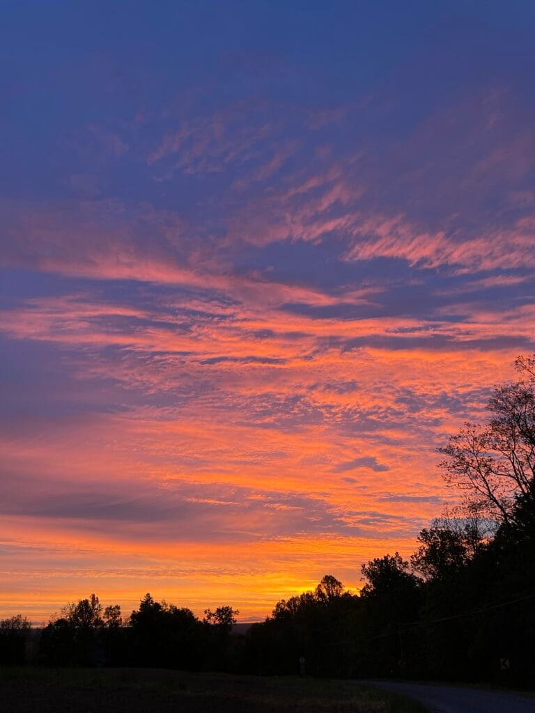 The sunrise seems to paint the clouds golden and bright shades of red behind a silhouetted tree line.