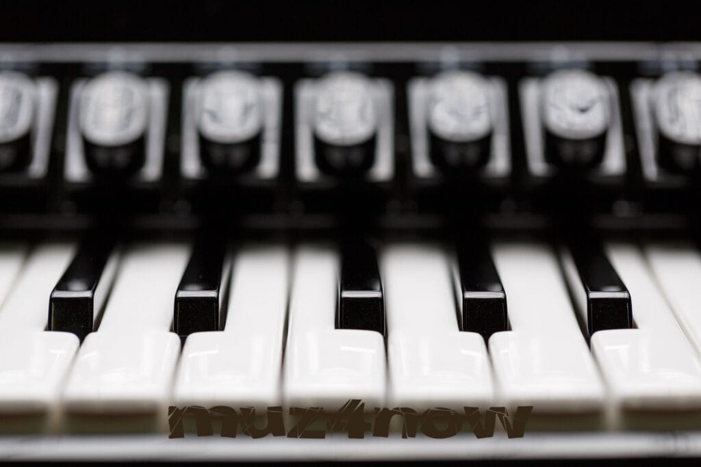 A confined range on an accordion keyboard. Photo by https://pixabay.com/users/michael_fotofreund-15669955/