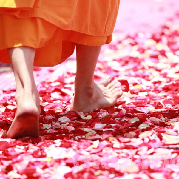 Escape May Be An Option – Ritual Escape