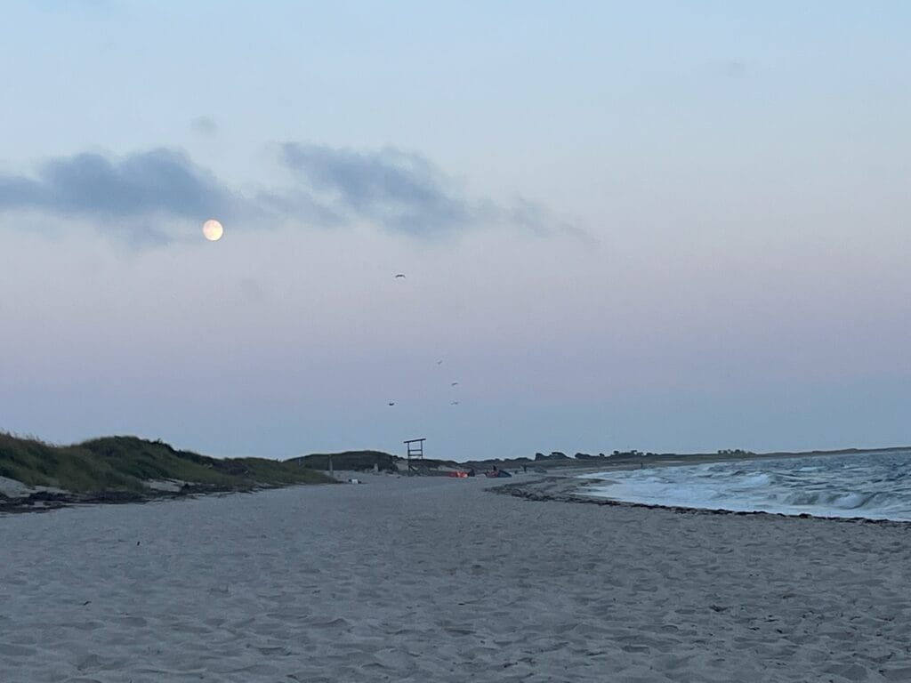 The almost full moon is partially shadowed by a few wispy clouds. Below it is a beach with many footprints and a few sand dunes beyond it. In the distance, on the beach are some wind-surfer kites and an empty lifeguard tower. The ocean surf is on the right side of the beach. There are a few shorebirds flying. It is just past sunset, so the light is dim.