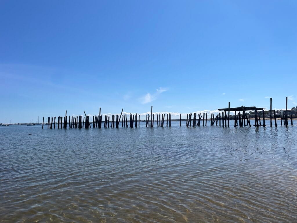 The vertical, wooden poles from an abandoned dock extend from a beach out into the water. The sky has only a few, low clouds and the surface of the water shows only a murmur of waves.